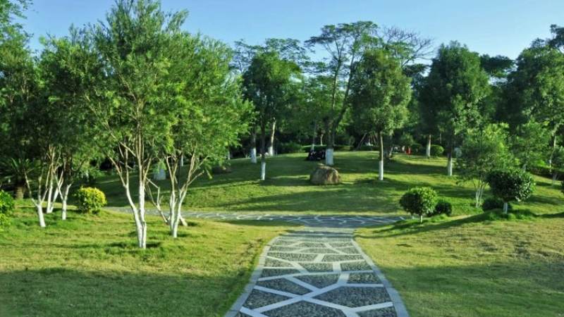 斯诺克世锦赛赛程怎么查?赛制轮次与观赛节奏全解析